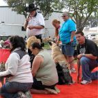 Steven At Parade of Breeds